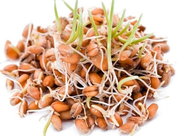 Clean Forte sisaldab idandatud nisu, kaera ja maisi teri